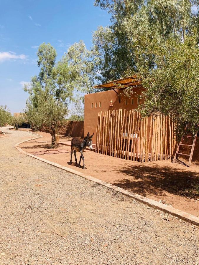 Upupa De L'Atlas Oulad el Guern Exterior photo